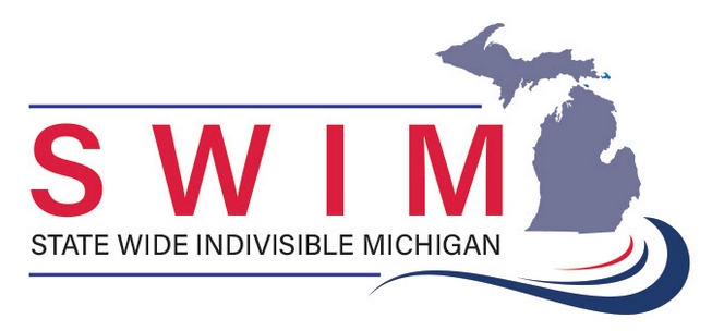 statewide michigan indivisible swim