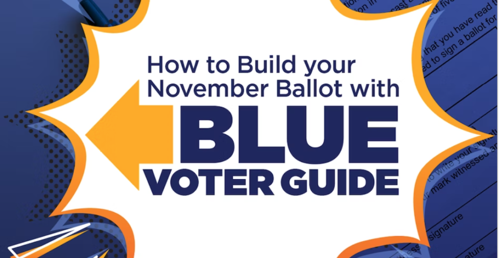Vote Blue guide